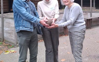 Kanonskogel voor Museum Palthehof